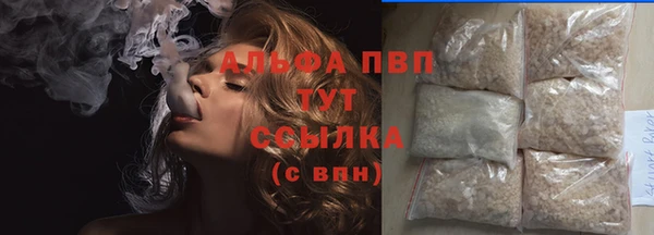 гидра Абаза