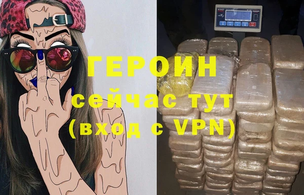 гидра Абаза