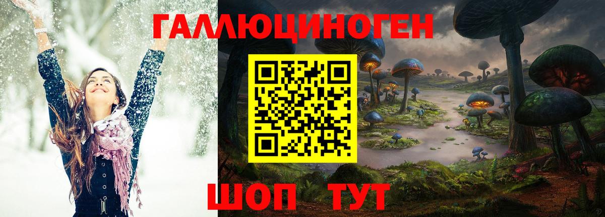 Галлюциногенные грибы MAGIC MUSHROOMS Кизляр