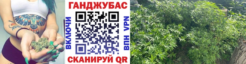 Конопля семена  Кизляр 